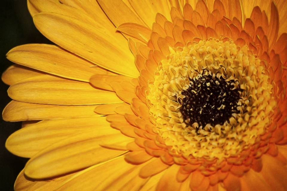 Naturaleza planta campo flor