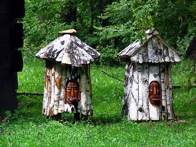 Foto Pohon kayu rumah sayang