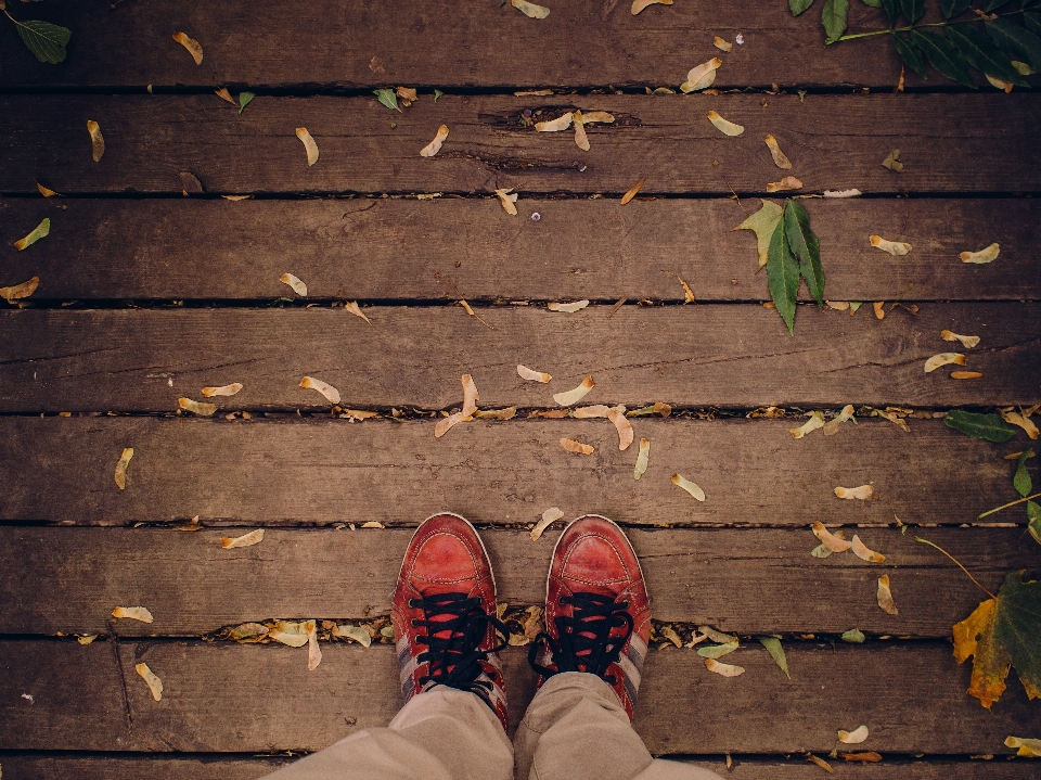 Hiking leaf fall feet