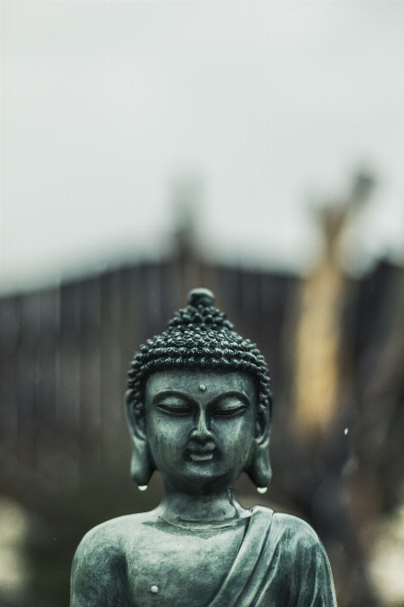 雨 記念碑 銅像 仏教徒