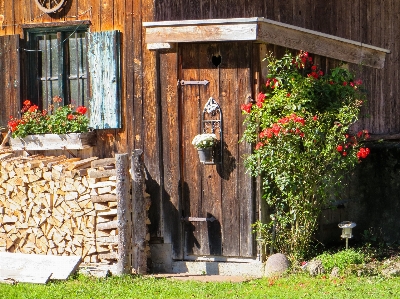 木 家 花 小屋 写真