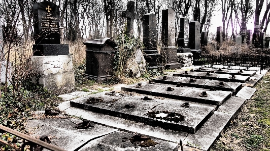 Photo Piste cour
 cimetière jardin