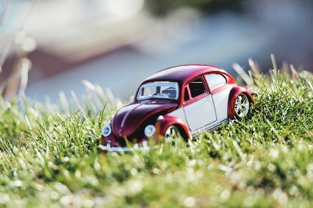 Nature grass car antique Photo