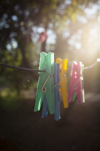 Foto Leggero luce del sole foglia verde