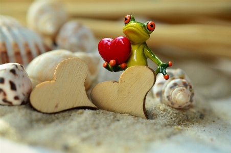 Strand sand holz sommer Foto