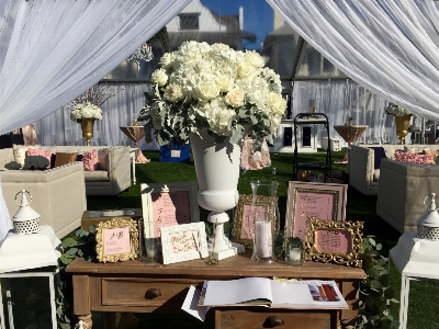 Table outdoor white flower Photo