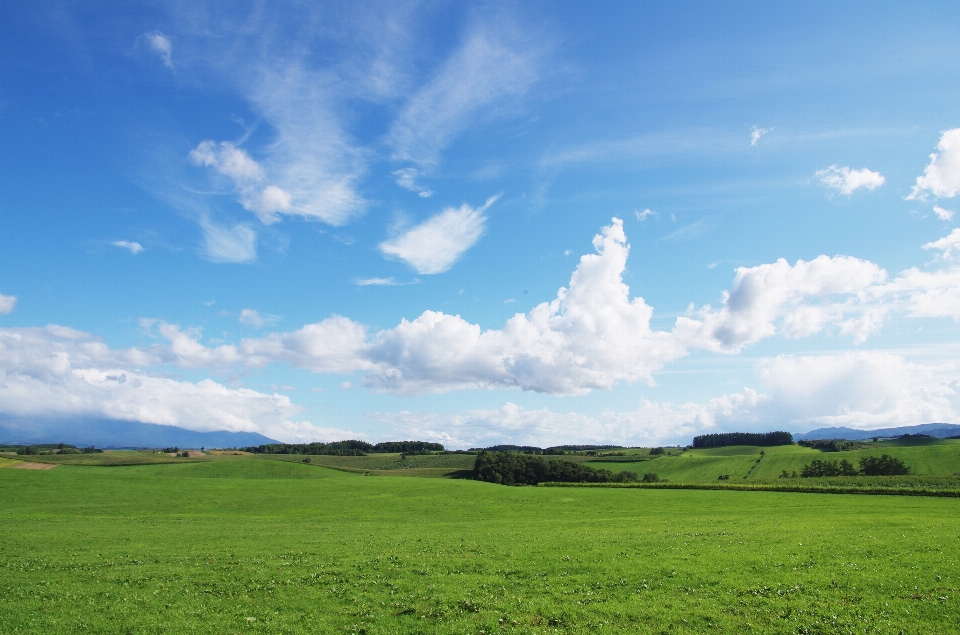 Paisagem natureza grama horizonte