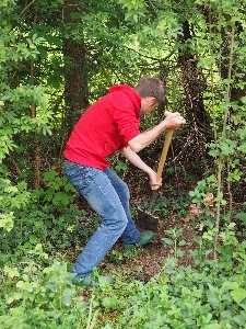 Work man tree forest Photo