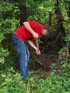 Arbeiten mann baum natur Foto