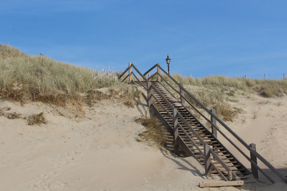 Beach sea coast path