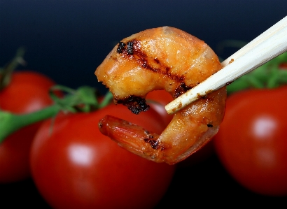 Sea plant wood fruit Photo