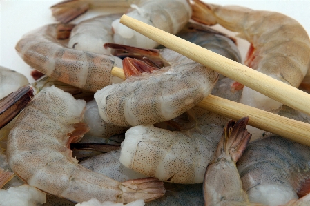 海 レストラン 皿 食事 写真