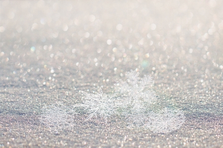 水 自然 雪 寒い 写真