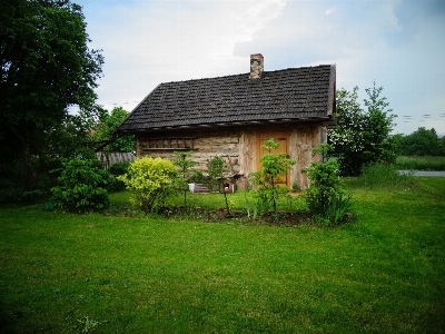 Tree grass wood farm Photo