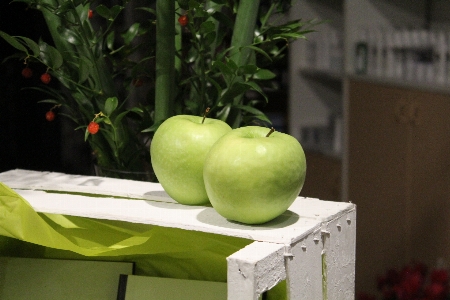 Apple anlage frucht blume Foto