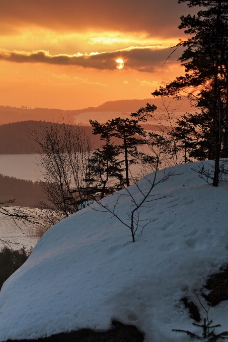 Paesaggio albero natura montagna