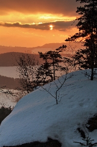 Landschaft baum natur berg Foto