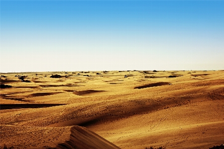 Landscape sand horizon field Photo