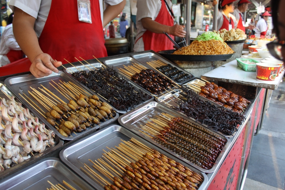 Kota piring makanan penjual