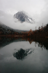 Landscape tree water nature Photo