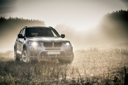 Forest fog car wheel Photo