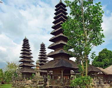 Tree flower tower religion Photo