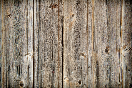 Fence structure board wood Photo