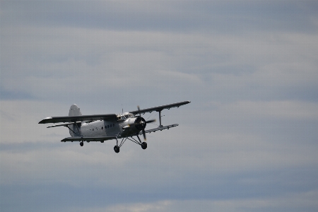 Wing airplane aircraft vehicle Photo