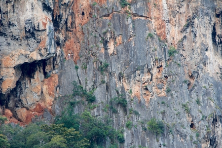 Rock structure plant stone Photo