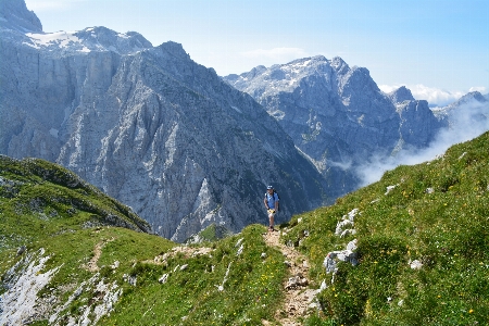 Landscape nature forest outdoor Photo