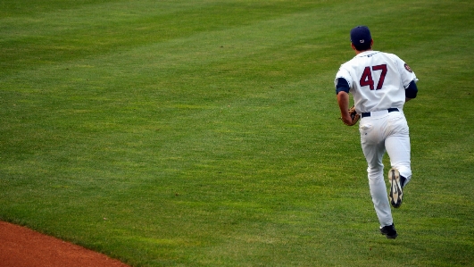 Foto Rumput orang putih baseball