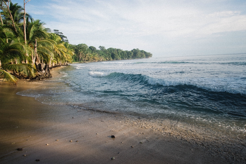 Beach sea coast water