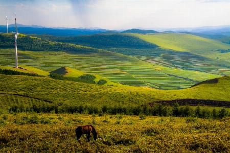 Landscape nature grass wilderness Photo