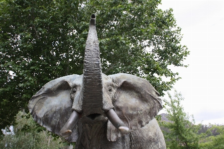 Adventure monument wildlife statue Photo