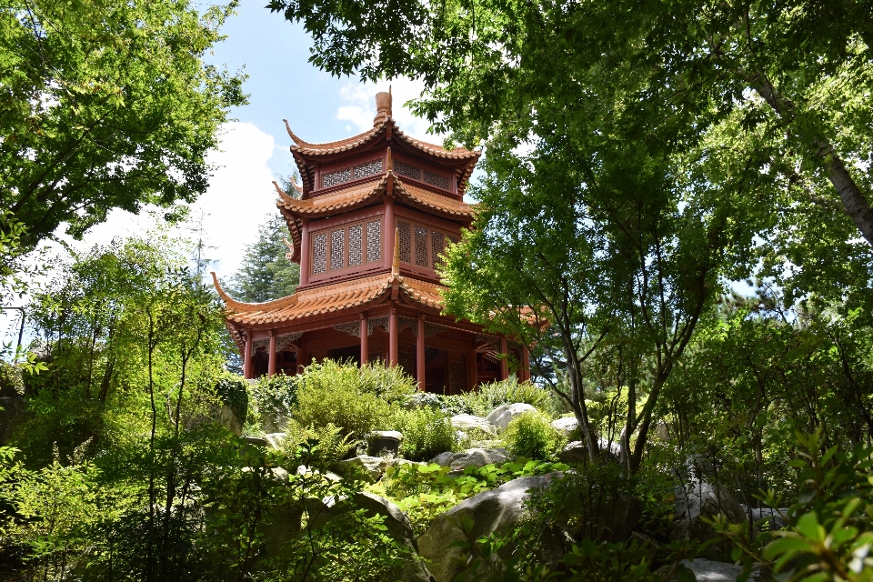 建物 タワー 植物学
 公園