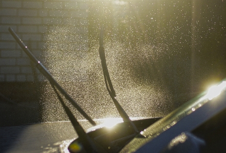 Water light photography sunlight Photo