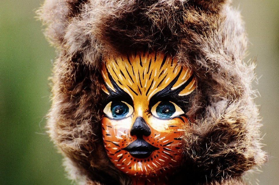 Faune fourrure carnaval chat