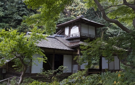 木 森 建築 家 写真