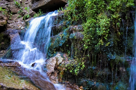 Landscape tree water nature Photo