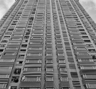 Foto Preto e branco
 arquitetura prédio cidade