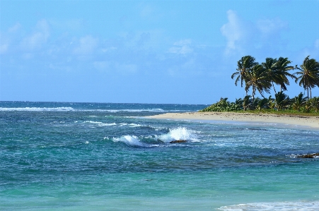 Beach sea coast ocean Photo