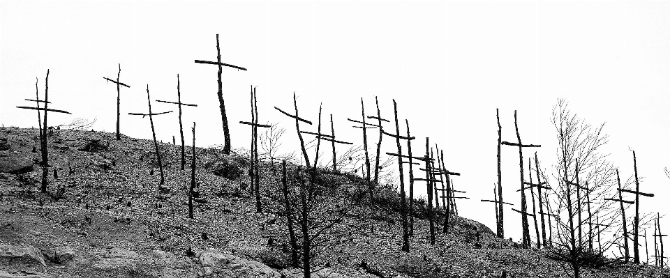 Fence black and white track wind