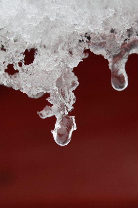 水 自然 雪 寒い