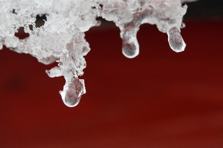 水 自然 雪 寒い 写真