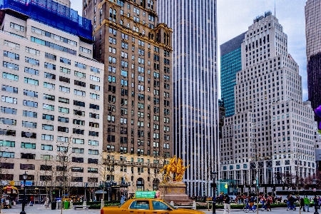 Tree architecture skyline street Photo