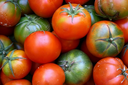 Foto Planta fruta alimento rojo