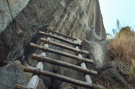 Rock 木 壁 形成 写真