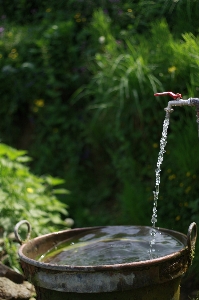 Water nature liquid leaf Photo