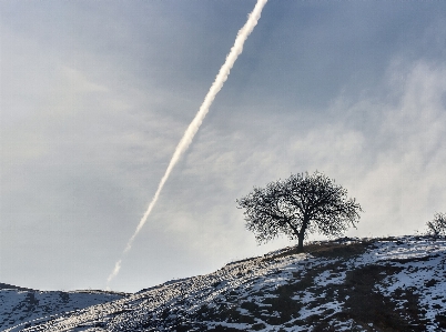 Landscape tree nature outdoor Photo