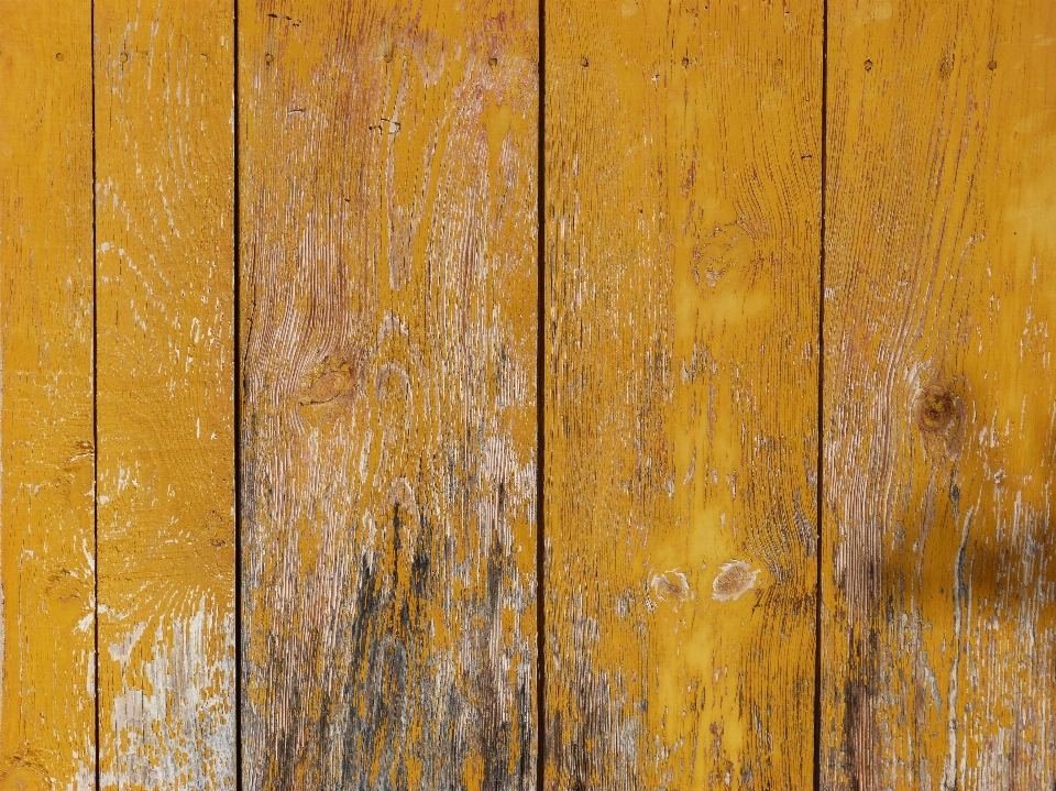 Wood texture plank leaf